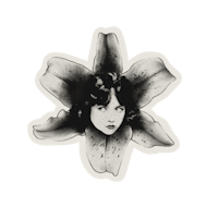 a black and white image of a flower with a woman's face on it