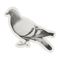 a sticker with a pigeon on it