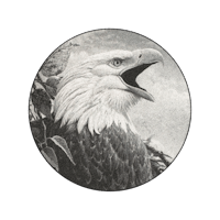 a black and white image of an eagle on a coaster