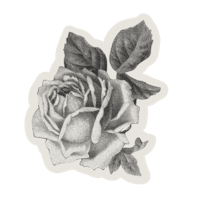 a black and white drawing of a rose