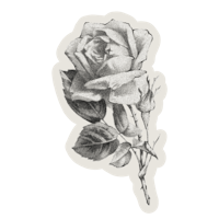 a black and white drawing of a rose on a black background