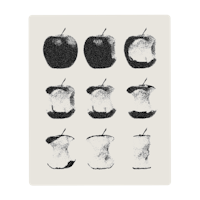 a black and white drawing of apples on a white background