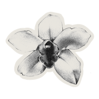 a black and white drawing of a flower on a black background