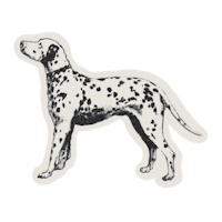 a black and white drawing of a dalmatian dog