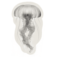 a black and white drawing of a jellyfish